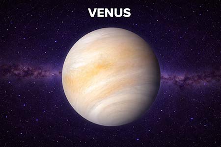VENUS