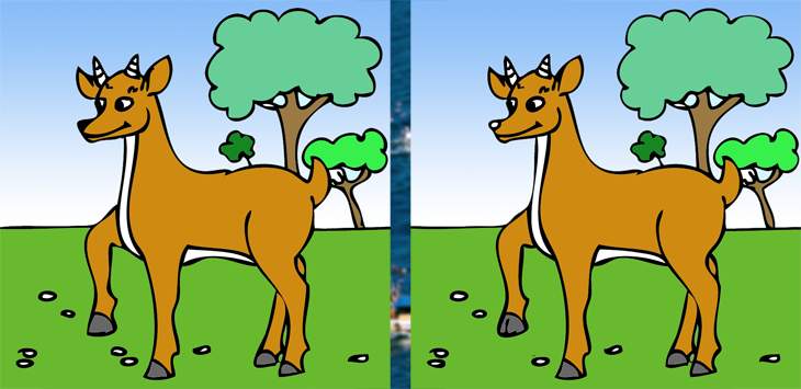 Deer