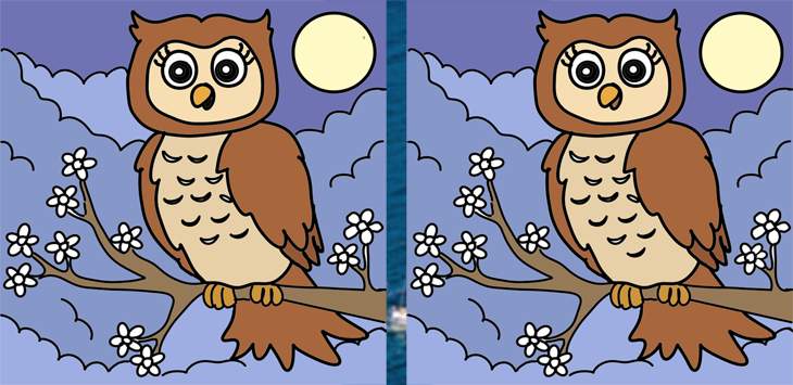 19.Owl