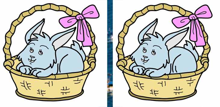 44.Rabbit1
