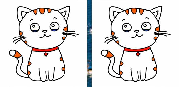 50.cat-4